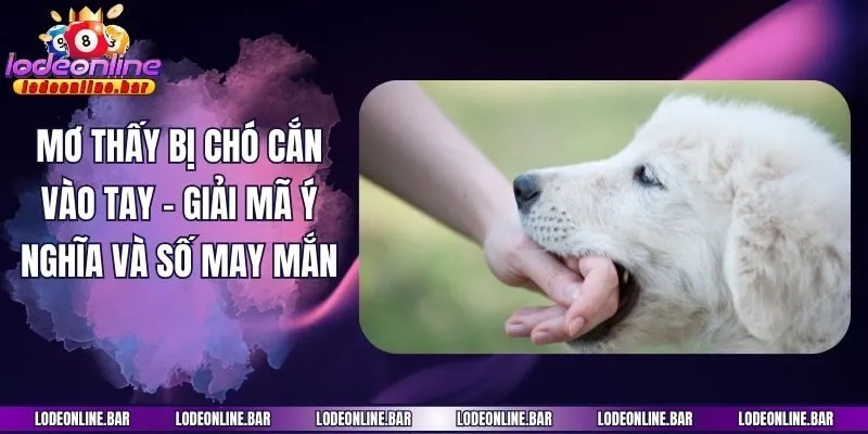 Mơ Thấy Bị Chó Cắn Vào Tay - Giải Mã Ý Nghĩa Và Số May Mắn