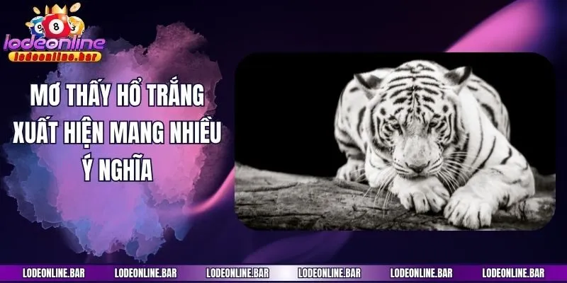 Mơ thấy hổ trắng xuất hiện mang nhiều ý nghĩa